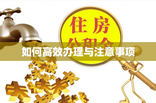 营山如何高效办理与注意事项